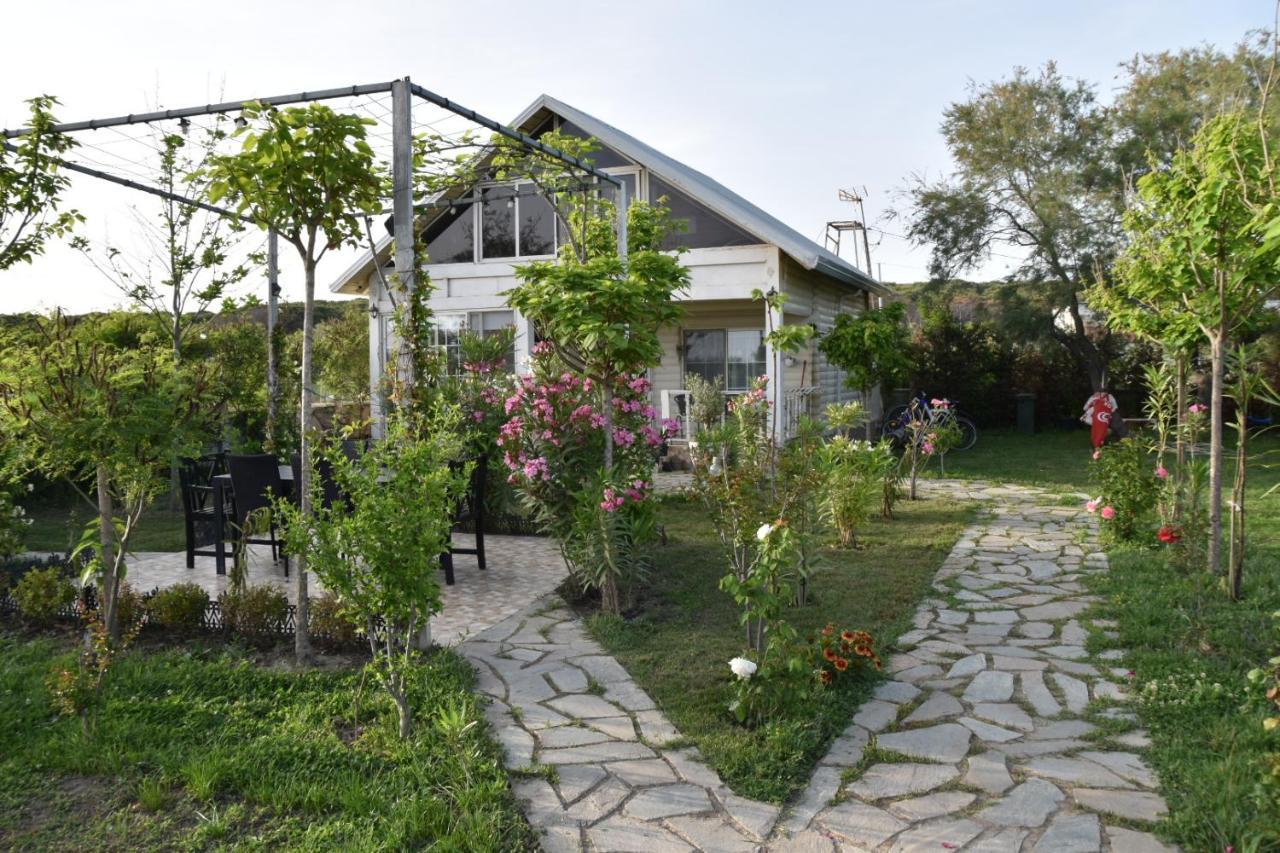Beachfront, Tirana Guest House Velipojë Exterior foto